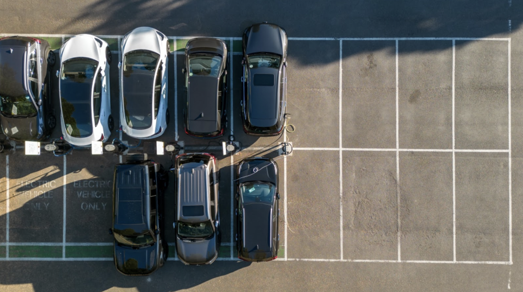 Plusieurs véhicules stationnés dans un parking réservé aux véhicules électriques.